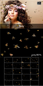 <span class='yzk_title_94349'>5K高清分辨率蜜蜂叠层背景素材 5K Bees Overlays【PNG,PDF】</span>插图