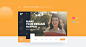 design UI ux branding  corporate development software service b2b Web