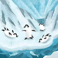 其中包括图片：Playing Penguins