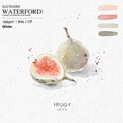 VEGGA小笨采集到VEGGA小笨的iPad清新水彩画