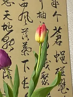 中式壁纸 - 高清图片，堆糖，美图壁纸兴趣社区