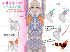 蓝巴巴拉采集到恋骨头