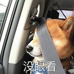 卷帘望月采集到表情包