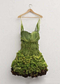 【创意生活】——®获得国外创意大赏的作品——蔬菜晚礼服，很美很震撼！