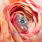 Season of sparkle. Shop @moniquelhuillier Fine Jewelry, exclusively at Blue Nile. #BlueNileSparkle
•
•
•
#MLFineJewelry #moniquelhuillier #moniquelhuillierbride #engagementring