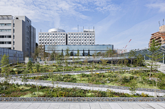 BoundlessQ采集到学校