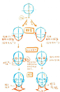 头部教程