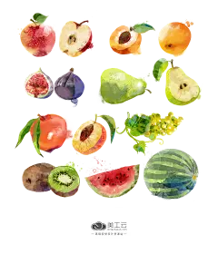 Fruits-Set手绘水果元素_PNG：