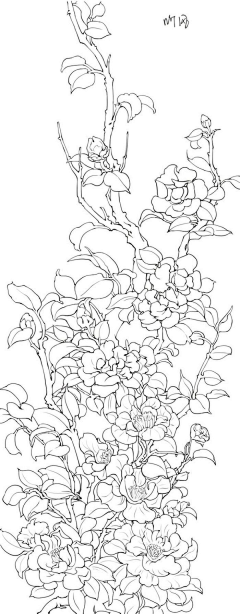后植嘉树采集到插画