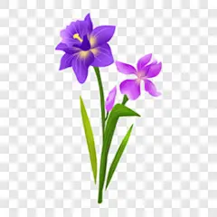 手绘春天植物鸢尾花PPT元素PNG图片➤来自 PNG搜索网 pngss.com 免费免扣png素材下载！