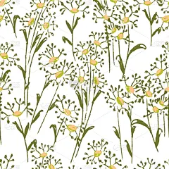 式样,季节,草本,纺织品,图像,壁纸,草,花序,叶子,绘制