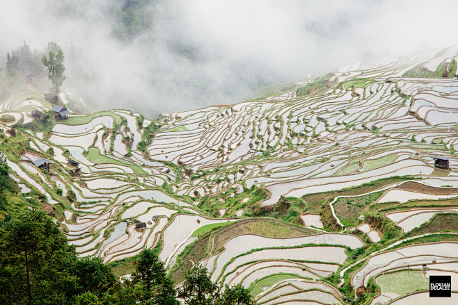 Aerial Photography c...