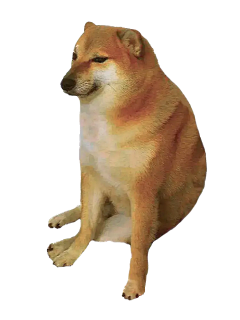 sarah丶🍀采集到柴犬