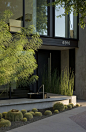 colwell shelor landscape architecture / dot garden for weddle gilmore black studio architects, scottsdale