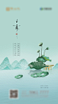 白露节气海报