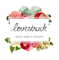 lovestruck : Oh Babushka was asked to review the existing lovestruck logo, with the purpose of developing fresh, complimentary branding. The handwritten logo's colour palette was simplified to a strong black, and a vintage floral collage was designed to s
