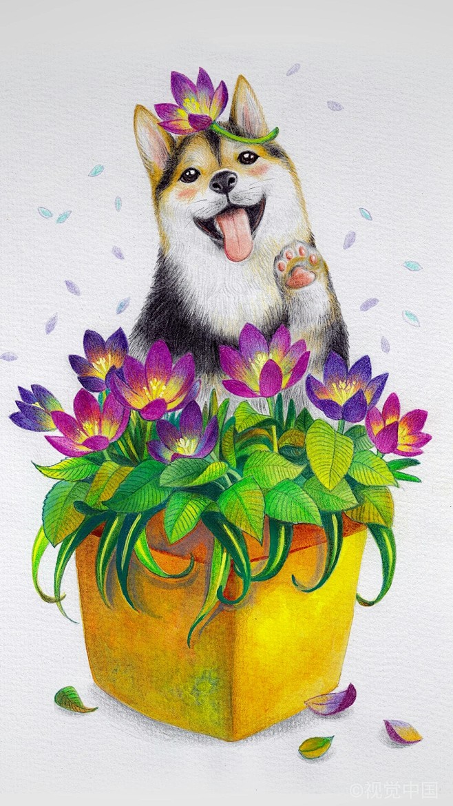 插画