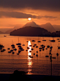 Sunset in Rio | Brazil (by Alan Seabra)#诗意黄昏# #美晕了#