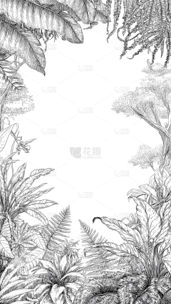 Cherissh采集到su