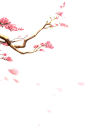 花瓣