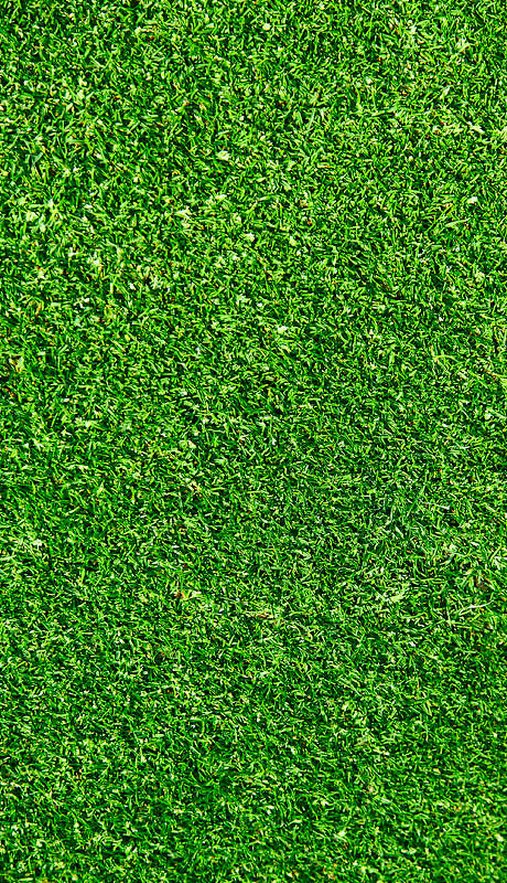 鲜亮绿色草坪材质贴图素材