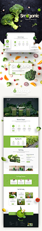 Smoganic Website Design on Behance