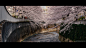 Cinematic Japan #1 : Tokyo. City from the future.