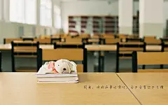 毕业季壁纸下载 - 精品桌面壁纸分享平台 - 搜狗壁纸