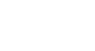 81
