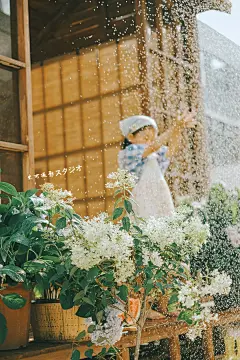 大连宝藏小院｜这个夏天在梦想中的院子度过 - 小红书