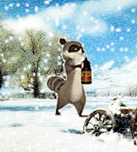 恶搞浣熊QQ表情包下载_葡萄家园素材网