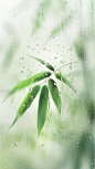 谷雨肌理感玻璃清透感雨滴竹叶背景