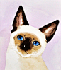 泰国宠物蓝眼睛暹罗猫咪原创手绘水彩画居家装饰画
