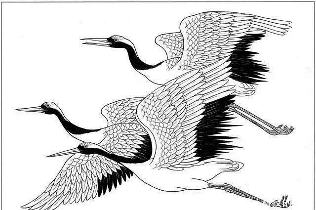 工笔仙鹤高清白描线稿图片