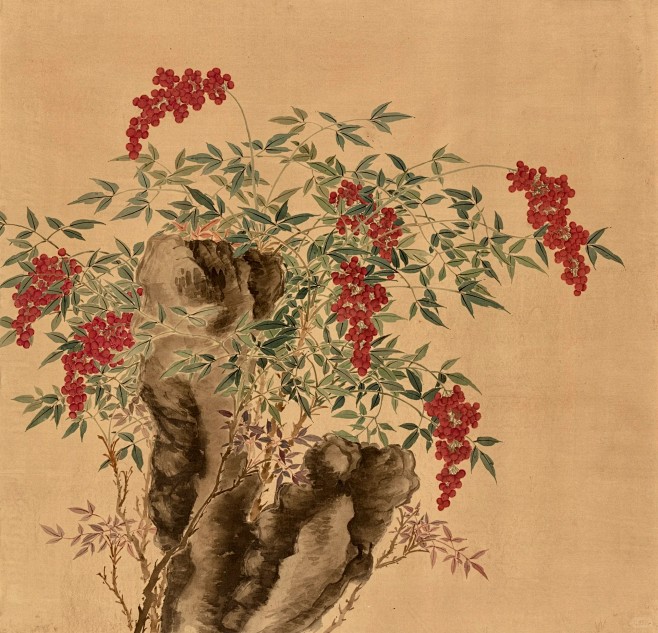我的艺术高光时刻｜没骨画｜南天竹_1_觀物繪_来自小红书网页版