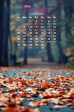 2015年11月唯美秋天落叶安卓手机壁纸大全http://www.kutoo8.com/