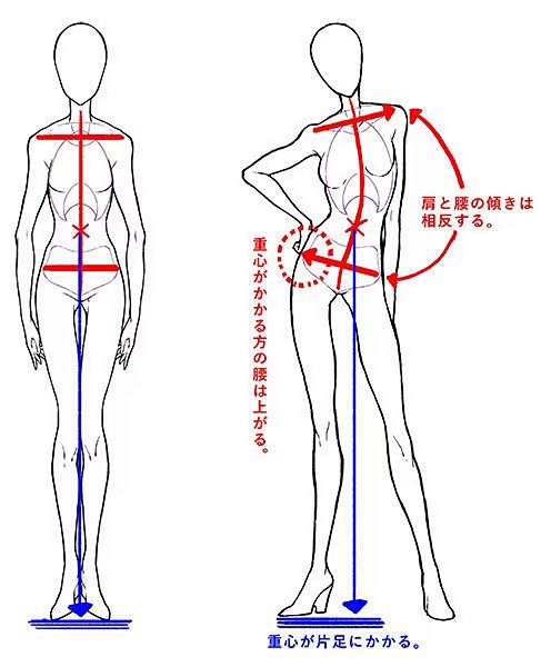 人体动态