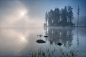 Foggy morning : Photographer professional Andrey Trifonov. Foggy morning. Foggy morning at Shiroka polyana dam, Bulgaria. From country Bulgaria. City Plovdiv. 