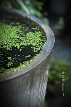 H小幸运采集到花园