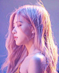 Blackpink Rose