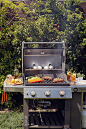 其中包括图片：Get ready for grilling season!
