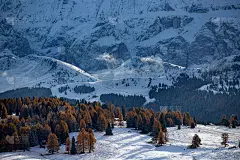 爱佩在吹口哨，多洛米蒂