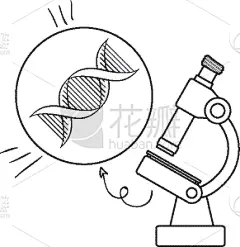 显微镜,脱氧核糖核酸,链,活力,生物学,健康保健,螺线,生物科技,技术,克隆