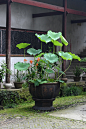 野人游遍天台寺，究竟招提此最奇。
十里远排清荫入，五峰如按画图窥。
隋初便有高僧传，火后都亡过客诗。
重到定知非远约，岸巾高处立多时。

——  宋.刘知过《题国清寺》
...展开全文c