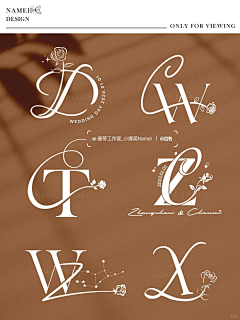 Rebirth谢小蜗采集到LOGO
