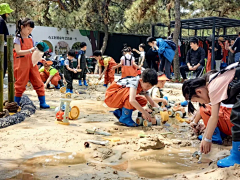 胡椒青萝卜采集到互动