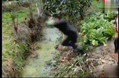 huoxubaIIII采集到GIF
