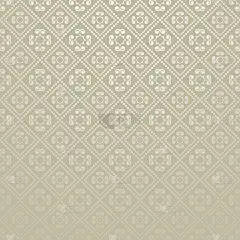 壁纸背景银