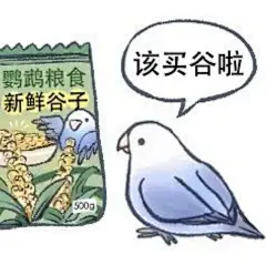 表情包｜哇！色禽鸟表情包大放送#太鸟不起了_腾讯新闻