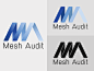 Mesh Audit